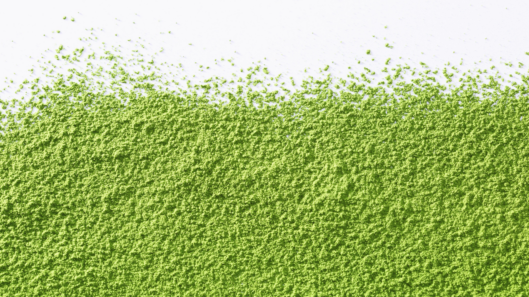 Why Vegan Protein is a Game-Changer for Recovery