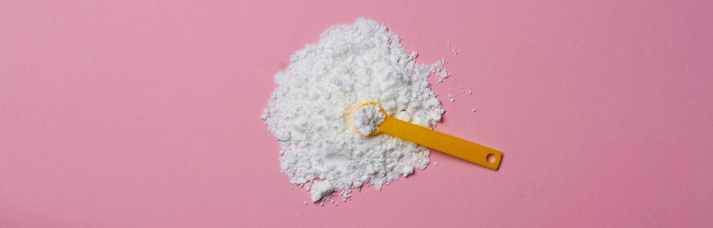 Is Protein Powder Good for Weight Loss?