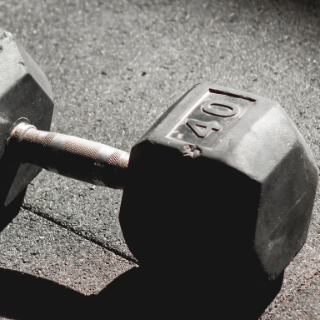 Can You Take Protein Powder on a Plane?