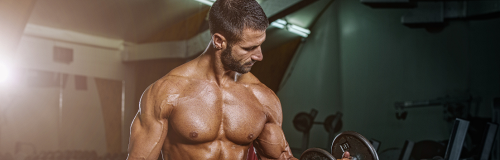 How Amino Acid Supplements Can Support Training, Recovery, and Muscle Maintenance
