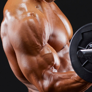 What Is the Best Pre-Workout Powder?