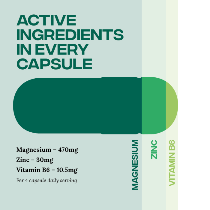 Reflex Zinc & Magnesium 100 capsules